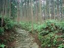 高野山・熊野古道と十津川温泉バスツアーをＨＰにアップしました♪♪