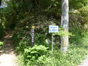 初夏の六甲ハイキングに行って来ましたヽ(*´∀｀*)ﾉ.+ﾟ
