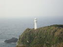 四国・足摺岬に行ってきました☆☆