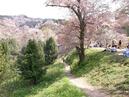 ４月４日(日）の吉野お花見ツアーは満員になりましたｍ（＿＿）ｍ