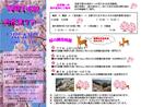 お花見バスツアーのパンフレットが出来上がりましたＯ(≧∇≦)Ｏ ！！ 